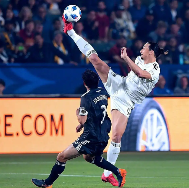 浙江广厦男篮新闻最新消息最新milan.com